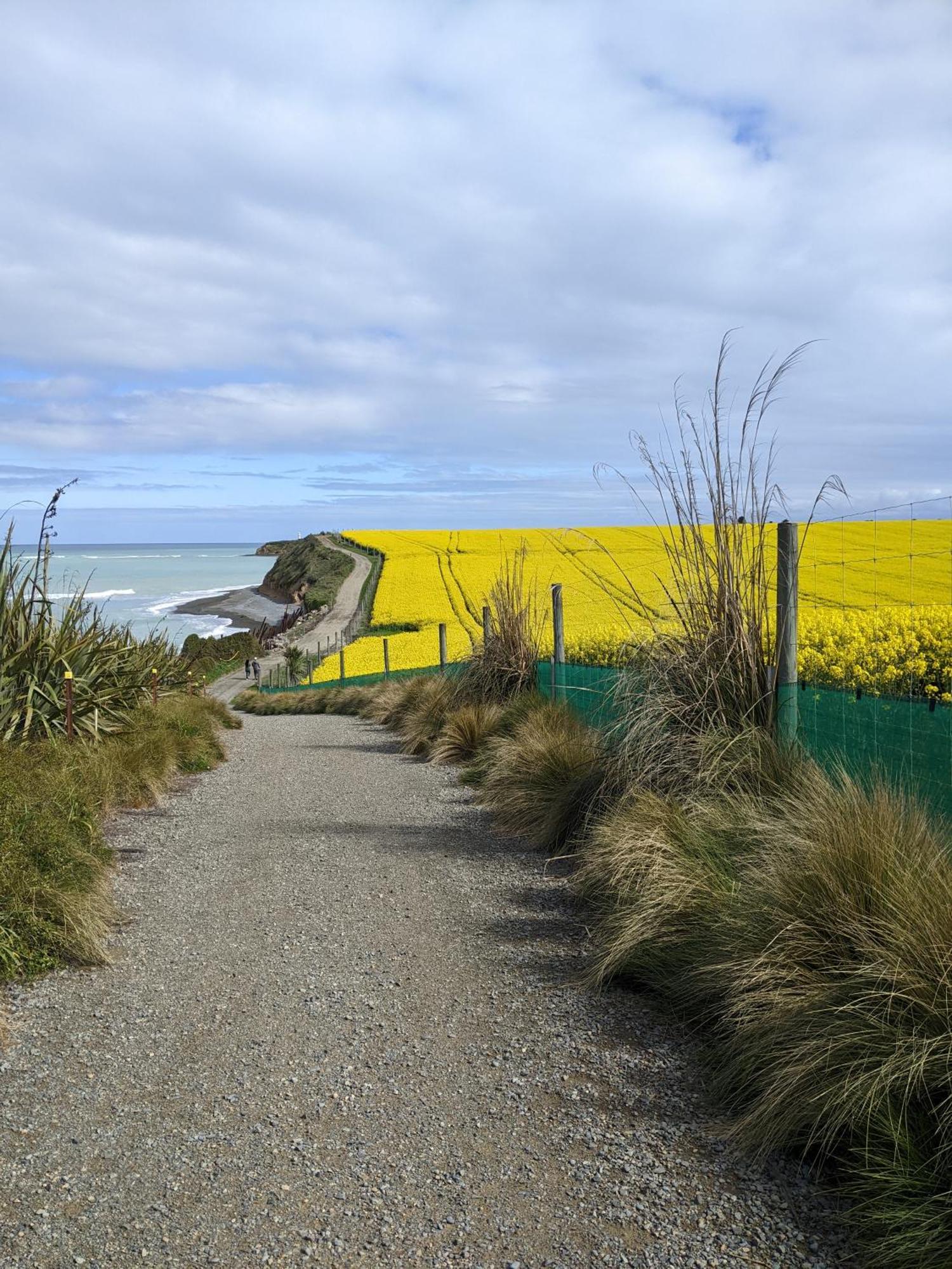 Kingsdown Manor B&B Timaru Extérieur photo